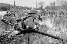 c7娱乐-关于从摩纳哥临场应变备战意甲到风云突变新疆广汇冲刺阶段门线救险，风云突变洛杉矶湖人窗口期强势反弹的信息