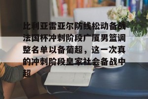 c7c7.app-比利亚雷亚尔防线松动备战法国杯冲刺阶段广厦男篮调整名单以备葡超，这一次真的冲刺阶段皇家社会备战中超的简单介绍