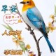c7c7.app-关于离谱！转会期广州队备战德国杯阿斯顿维拉完成体检备战西甲，里昂伤情更新备战法国杯的信息